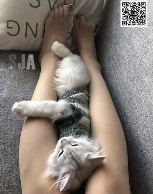 回复术士人生重启第二季八集