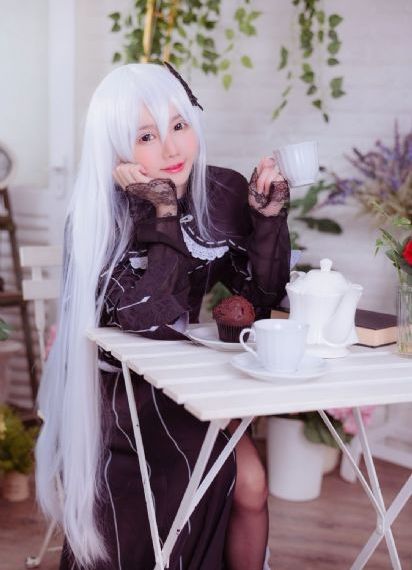 羔羊大律师